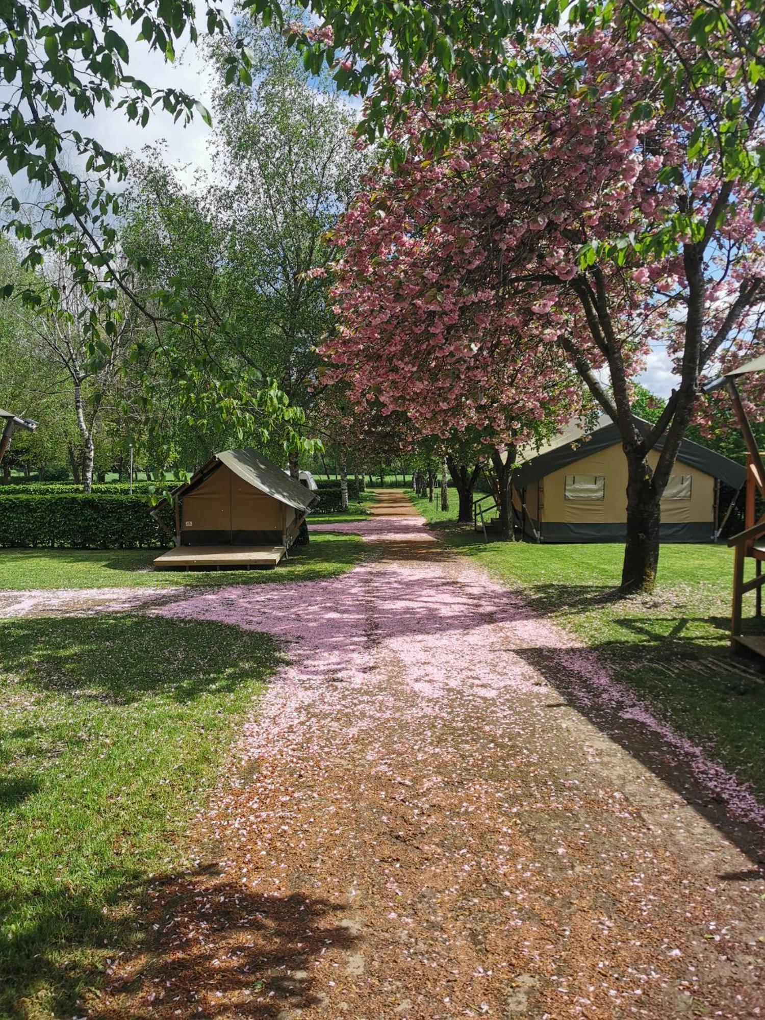 Safari Tent Xs - Camping Belle-Vue Hotel Berdorf Exterior photo